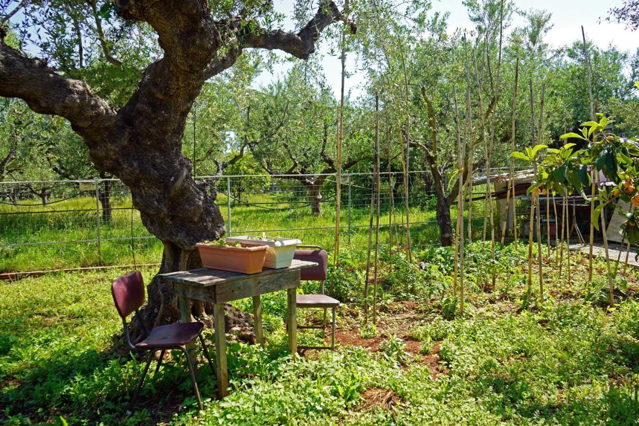 Veni Olive House Villa Kalamata Bagian luar foto