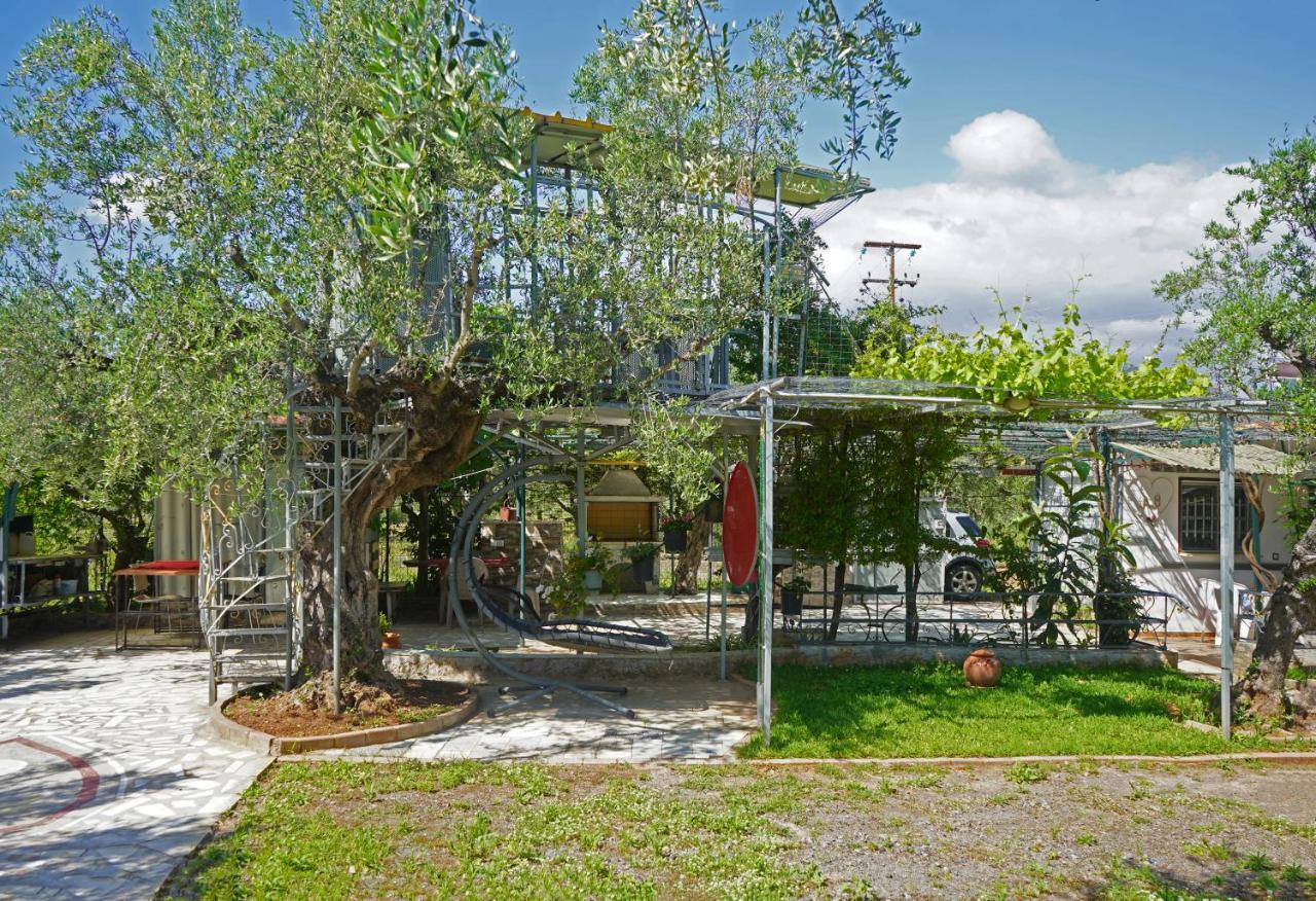 Veni Olive House Villa Kalamata Bagian luar foto