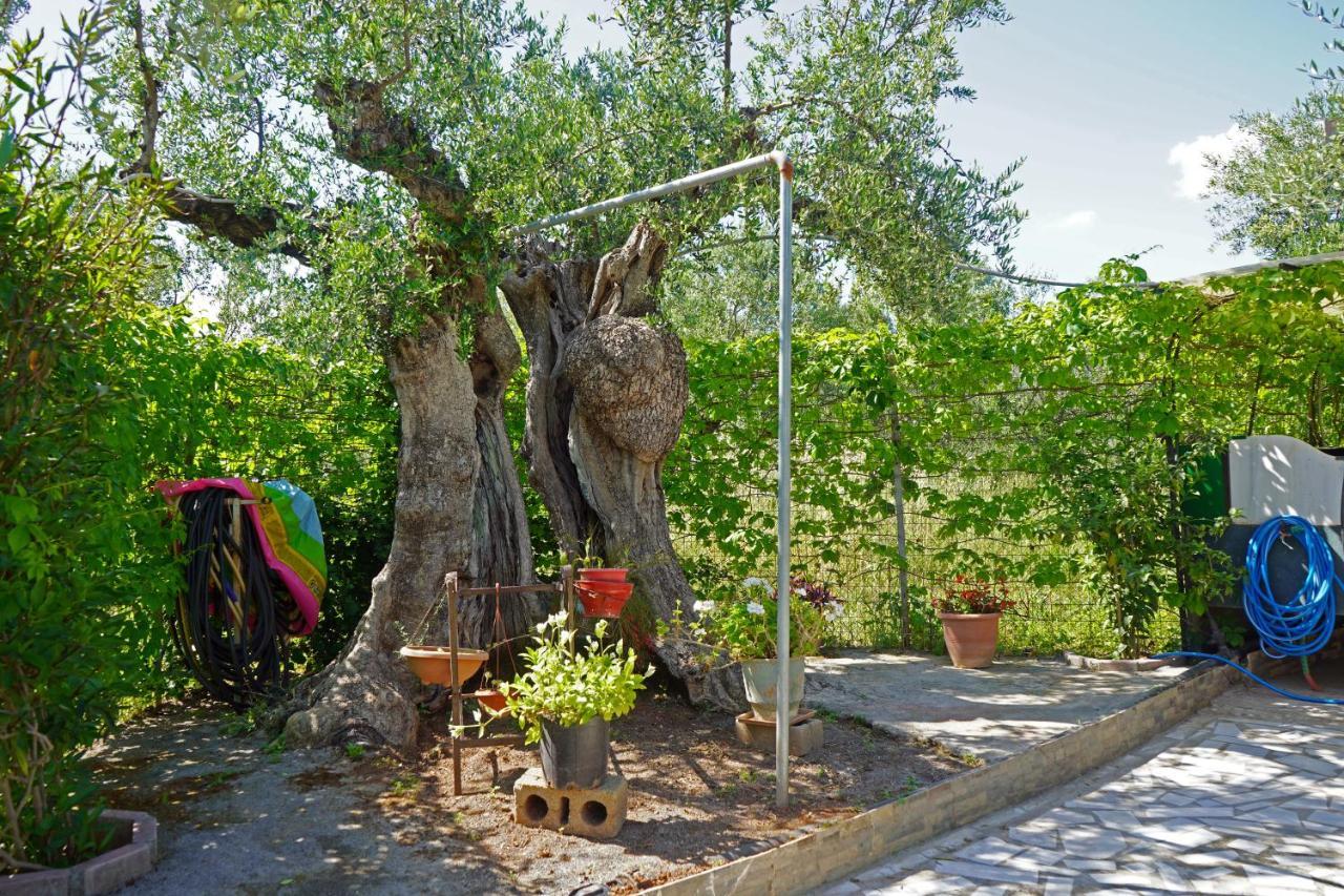 Veni Olive House Villa Kalamata Bagian luar foto